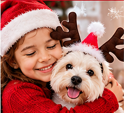 Christmas Reindeer Antler Headband for Dogs